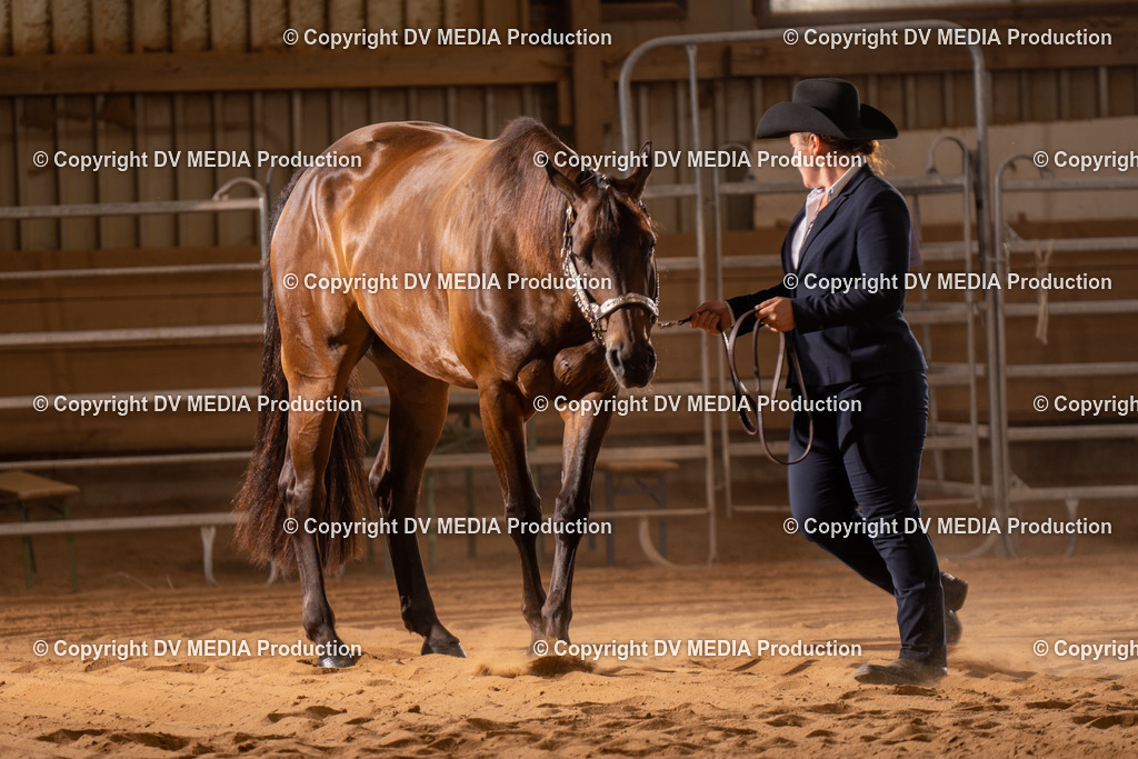 NID00077 | dv-media-shop - Realisiert mit Pictrs.com