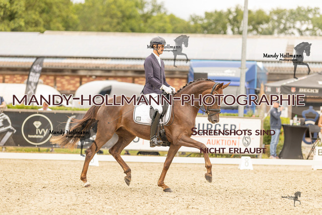 SW 4-238 | mandyhollmannphotographie