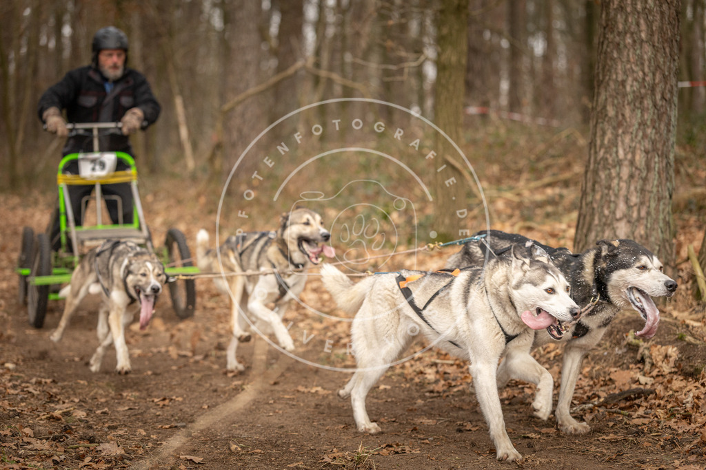 Pfotenfotografie_DV3A8899 | Hundefotografie, Tierfotograf, Pfotenfotografie, Fotoshooting Hund, Hunde Portrait, Hundesport, Hundeportraits, Heideshooting, Hunde, Sportfotograf, Hundefotograf, Turnierhundsport, THS,  - Realisiert mit Pictrs.com