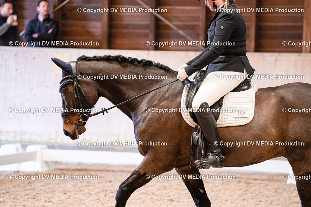 Dressur Tag 2-69 | dv-media-shop - Realisiert mit Pictrs.com