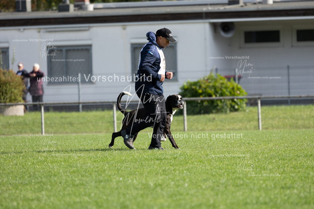 _16A6640 | Einzigartige Fotos von Hunden & Menschen –Actionfotos, Portraits, Vereinsaufnahmen & Paarshootings – authentisch, lebendig & mit Herz.