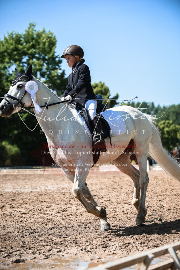 DSC_3705 | Pferde- und Turnierfotografie in Westsachsen. Pferdeportraits, Auftragszeichnungen und intuitive Kunst.