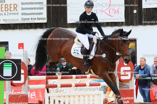 OHT2121 | Fotografie, Tiere, Hunde, Katzen, Pferde, Sportfotografie, Fotosession, Tierfotografie, Turnierfotografie, Fotografin, Fotograf - Realisiert mit Pictrs.com