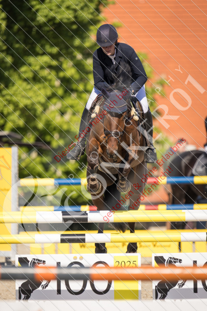 IMG_3290 | Sport-, Event- und Tierfotos in Profiqualität. Einfach auswählen, bestellen und herunterladen. Dein Moment – perfekt festgehalten.