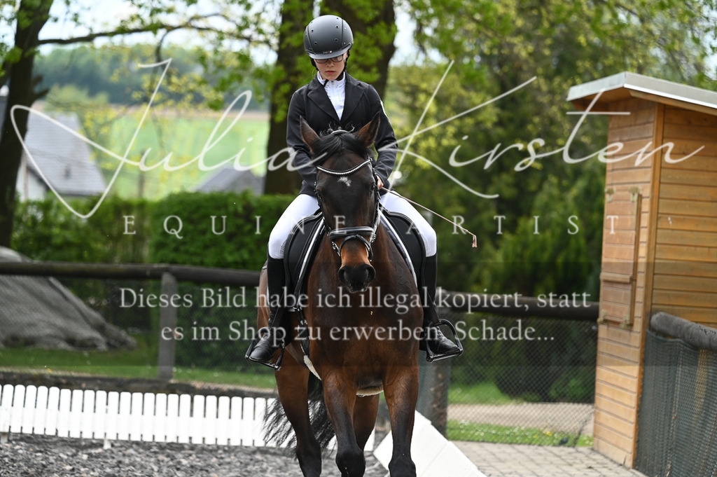 20230512_JK-Röhrsdorf-07-262 | Pferde- und Turnierfotografie in Westsachsen. Pferdeportraits, Auftragszeichnungen und intuitive Kunst.