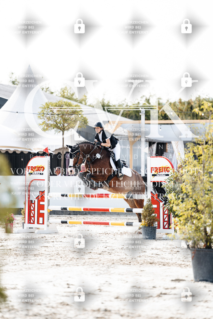 CK905779 | Turnierfotografie Pferdefotografie Trier Rheinland-Pfalz Pferdesport Reitsport Tierfotografie Sportfotografie Pferdevideo Pferdevideografie Equestrianvideography equestrianphotography  - Realisiert mit Pictrs.com