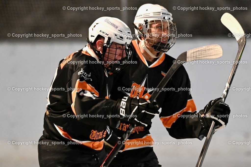 EC Ice Tigers Paternion vs. Ultras Spittal 21.1.2024 | Jubel Ultras Spittal, #10 Berger Julian, #71 Meixner Thomas