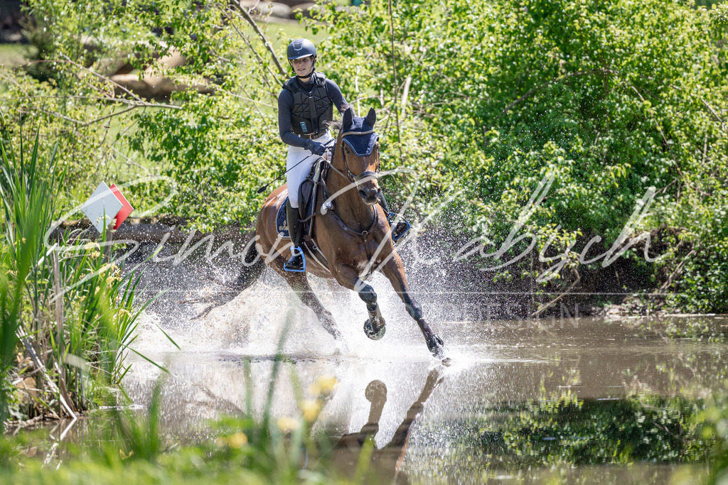 20260523-_3LI8752 | Tierfotografie Pferde, Hunde, Katzen, Haustiere.
Turnierfotografie Reitturniere, Reiten, Springreiten, Dressur in Hanau, dem Main-Kinzig-Kreis und dem Rhein-Main- Gebiet um Frankfurt
