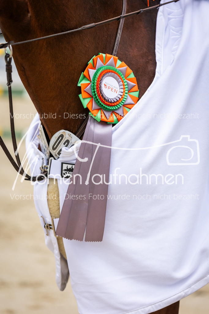 BHO-2PhSpr-M-5-2434 | MomenTaufnahmen Pferdesportfotos