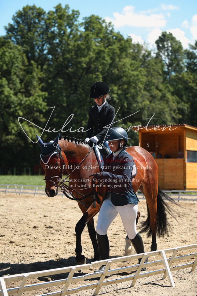 DSC_1847 | Pferde- und Turnierfotografie in Westsachsen. Pferdeportraits, Auftragszeichnungen und intuitive Kunst.