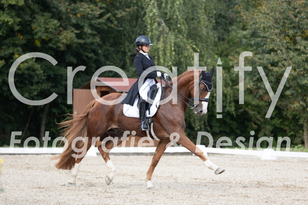 IMG_4727 | Creatify Fotografie