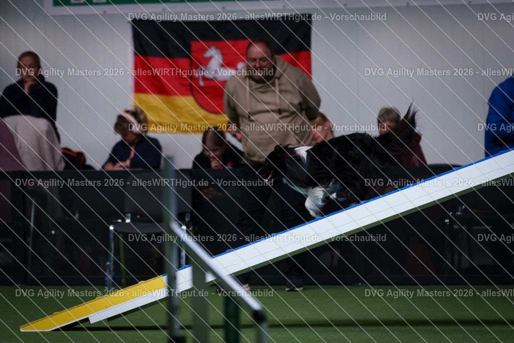 allesWIRTHgut_Tierfotografie-DVG_Agility_Masters_2026-14_30-7R504831 | Professionelle Tierfotografie in Mönchengladbach von Daniel Wirth (allesWIRTHgut). Liebevolle & natürliche Bilder von Hunden & Katzen für unvergessliche Erinnerungen.