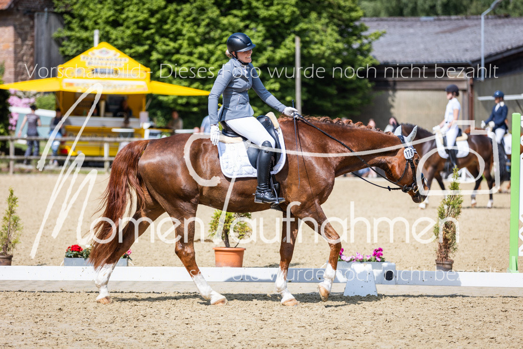 Donop24-L-Dre-042 | MomenTaufnahmen Pferdesportfotos