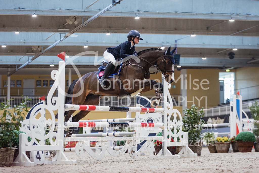 230210_Warstein_Stil-L-106 | Deine schönsten Turniermomente als professionelle Fotos! Entdecke hochwertige Pferdesport-Fotografie im Online-Shop. Jetzt Fotos finden & bestellen!