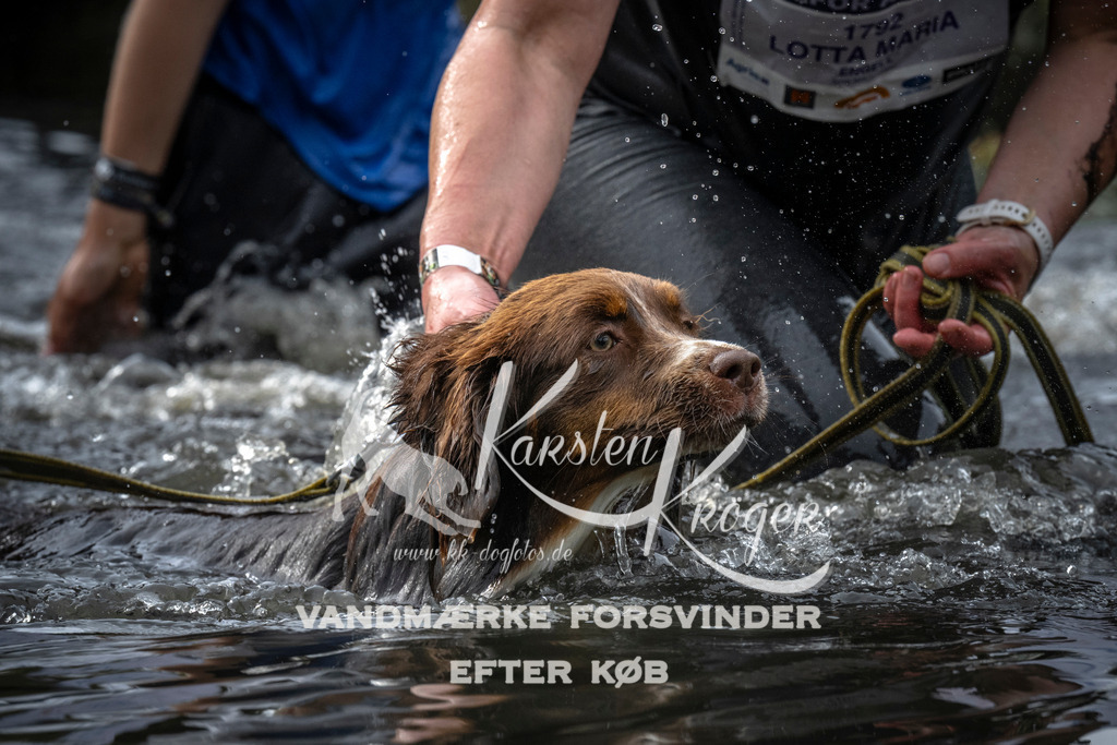 1640_ZZ99032 | kk-dogfotos