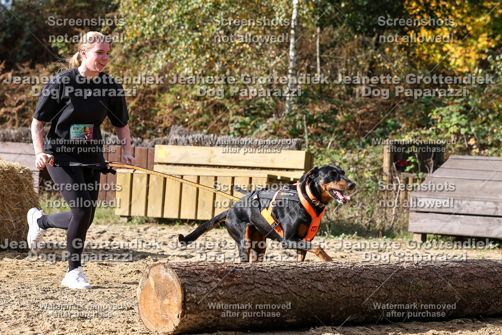 Dog Paparazzi - Strongdog 10-25-5037 | Dog Paparazzi Jeanette Grottendiek Fotografie & Videografie - Realisiert mit Pictrs.com