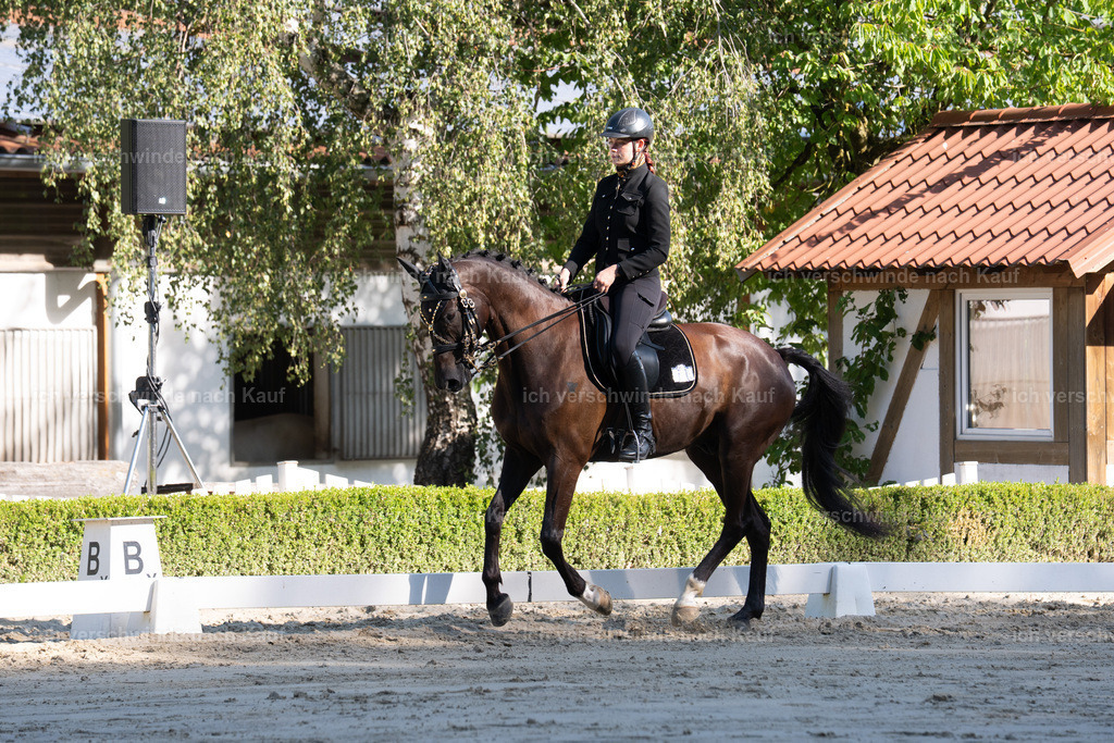 WL_DR_25_sinafilmart_IN05874 | working equitationturnier fotograf videograf stoibphotography marixx film working equitation deutschland reitsport turnierfotografie eventfotografie equestrian events