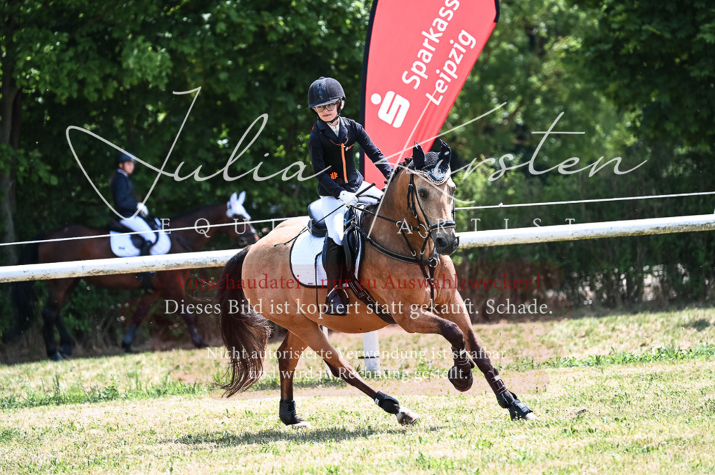 DSC_9721 | Pferde- und Turnierfotografie in Westsachsen. Pferdeportraits, Auftragszeichnungen und intuitive Kunst.