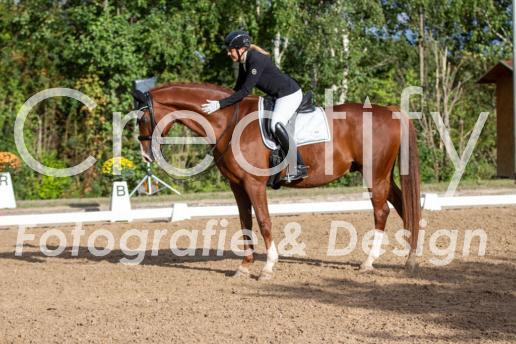 IMG_6186 | Creatify Fotografie