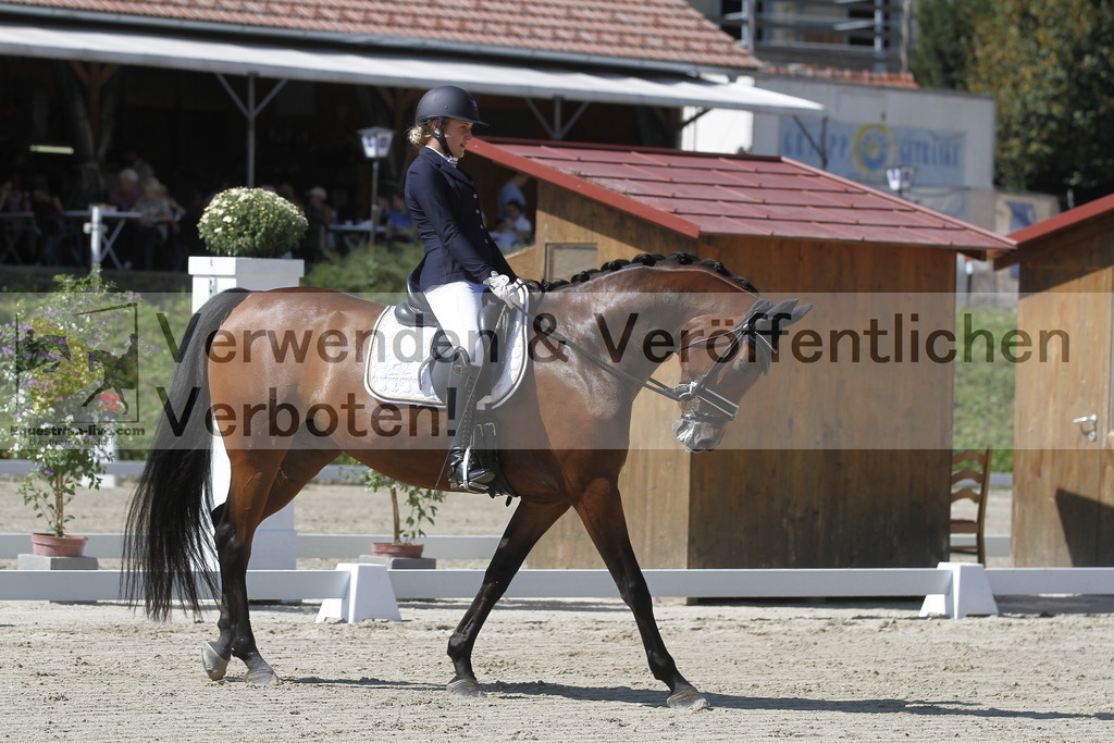 _MG_0455 | equestrian-live-com