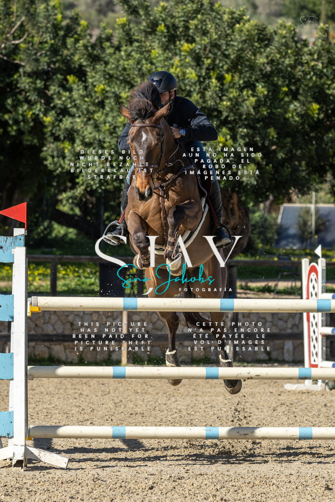 IMG_6940 | s-jay-photography - Realisiert mit Pictrs.com