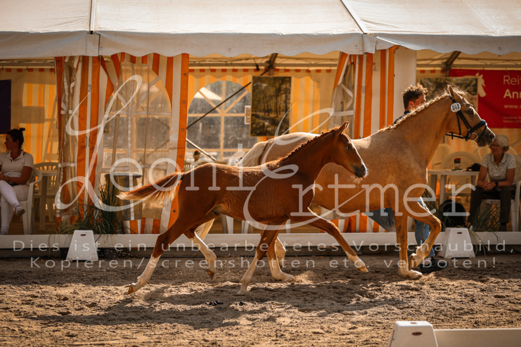 11.DoRP00051 | Leoni Ertmer Photography - Realisiert mit Pictrs.com