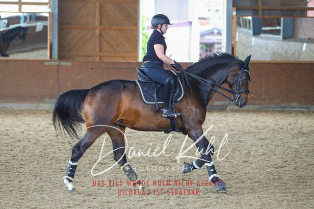 DKP42970 | Turniersportfotografie; Pferdefotografie; Dressurfotografie