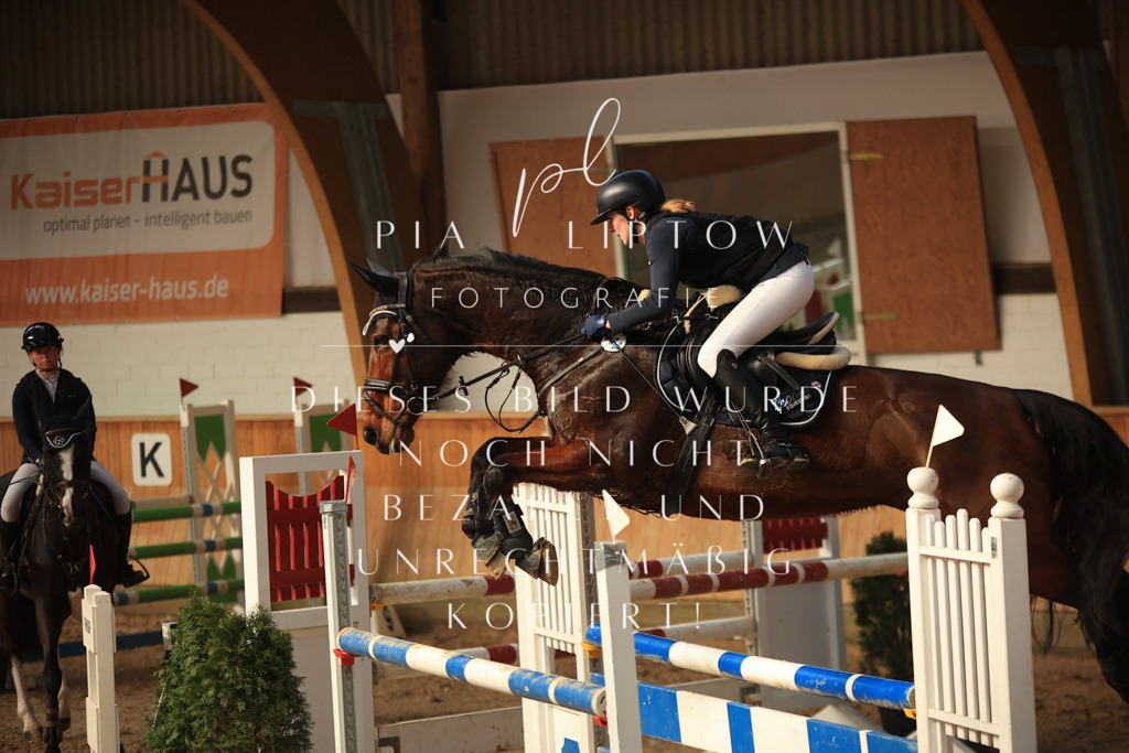 IMGT0471 | pl-fotografie