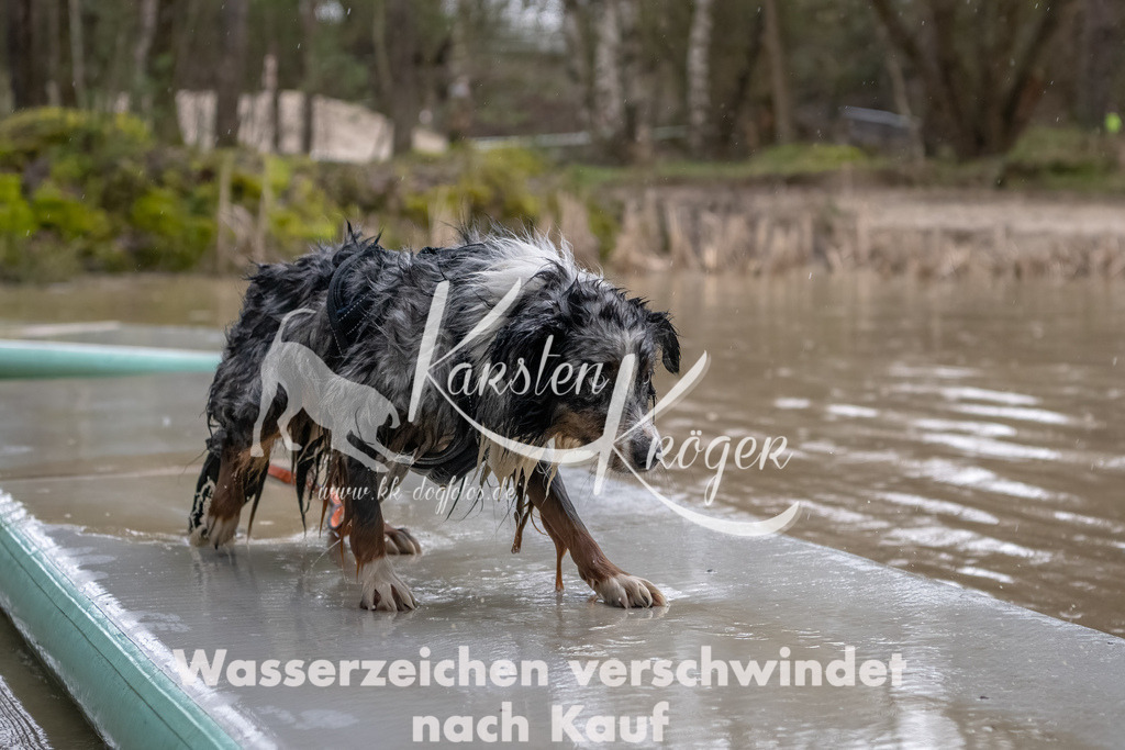 0922_ZZ90726-Bearbeitet | kk-dogfotos