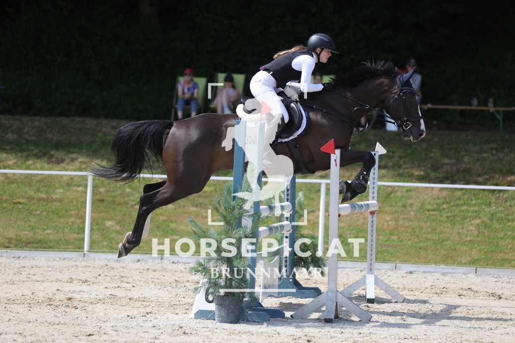 0P6A0598 | Willkommen bei Brunnmayr - Design & Fotografie – Ihrem Spezialisten für Reitturniere und Pferdeveranstaltungen in Oberösterreich, Salzburg und Bayern! Seit über 17 Jahren sind wir leidenschaftlich dabei.