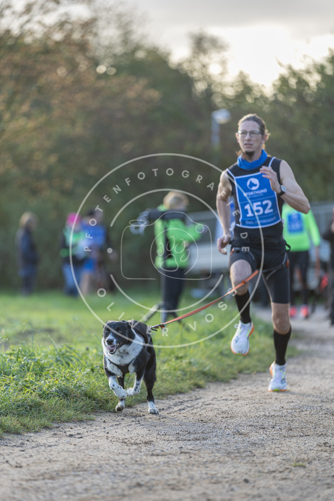 Pfotenfotografie.de_DV3A2734 | Hundefotografie, Tierfotograf, Pfotenfotografie, Fotoshooting Hund, Hunde Portrait, Hundesport, Hundeportraits, Heideshooting, Hunde, Sportfotograf, Hundefotograf, Turnierhundsport, THS, canicross - Realisiert mit Pictrs.com