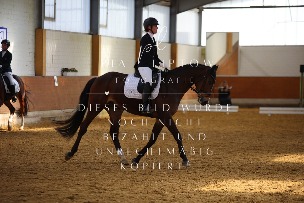 IMGT4448 | pl-fotografie