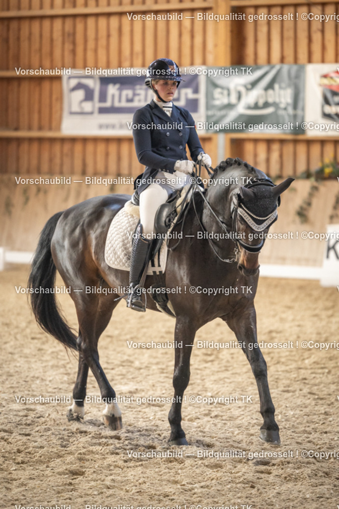 _D5A6549 | Emotionale Pferde- & People-Fotografie rund um Heidelberg, Leimen & Umgebung. Natürliche Fotos von Pferd, Mensch & Familie. Jetzt Termin sichern!