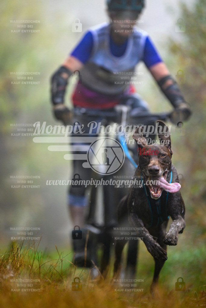 MompixPhotography_20TSB_E4_Bike-55 | PayLife