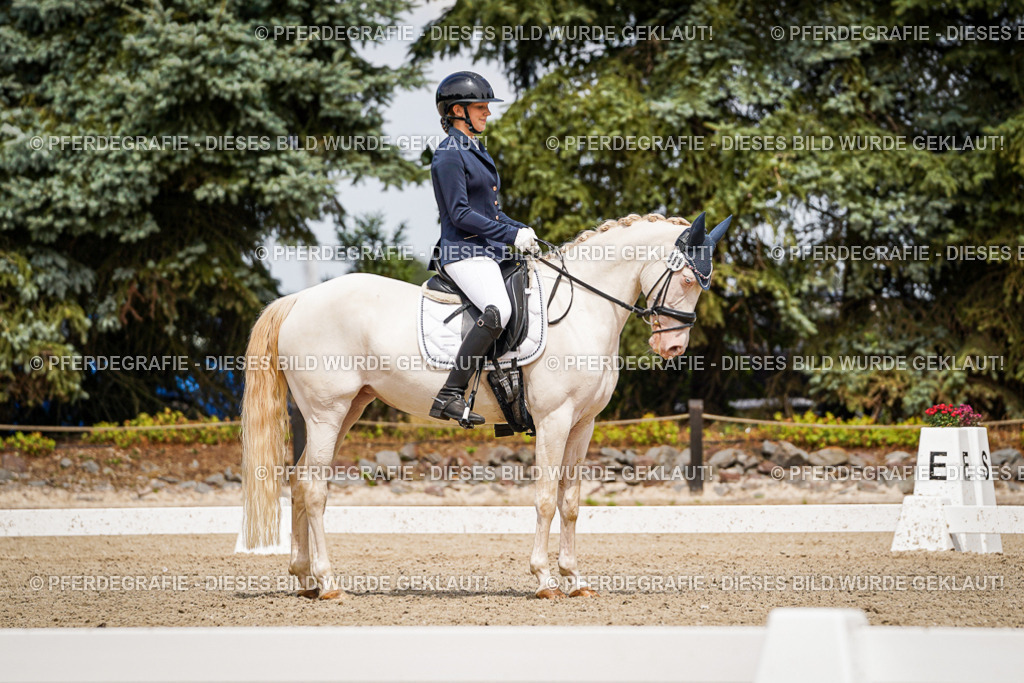 DSC04117 | Pferdegrafie