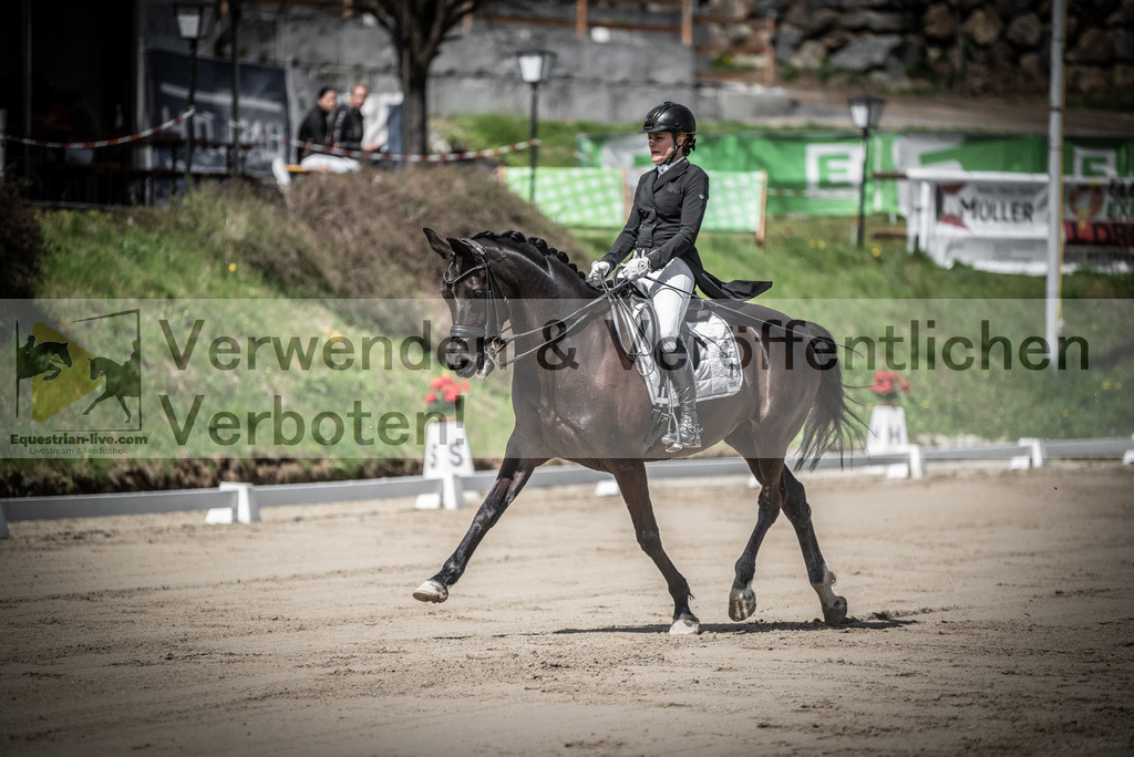 DSC_1653 | equestrian-live-com