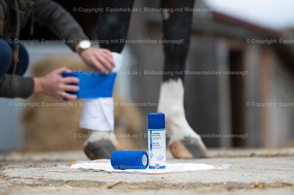 20201030_Erste-Hilfe_0021 | equistock