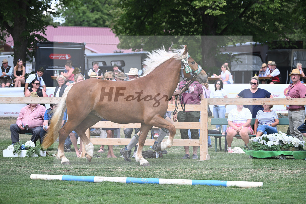 Kat-Nr. 46 Mirabella_Hartl_20230728 | hf-fotografie - Realisiert mit Pictrs.com