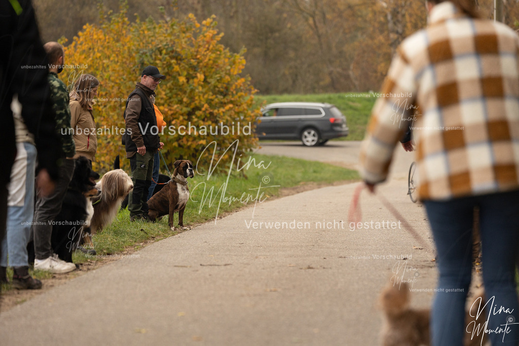 _16A0688 | Einzigartige Fotos von Hunden & Menschen –Actionfotos, Portraits, Vereinsaufnahmen & Paarshootings – authentisch, lebendig & mit Herz.