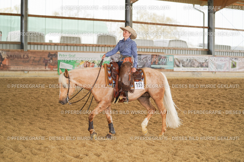 DSC05864 | Pferdegrafie