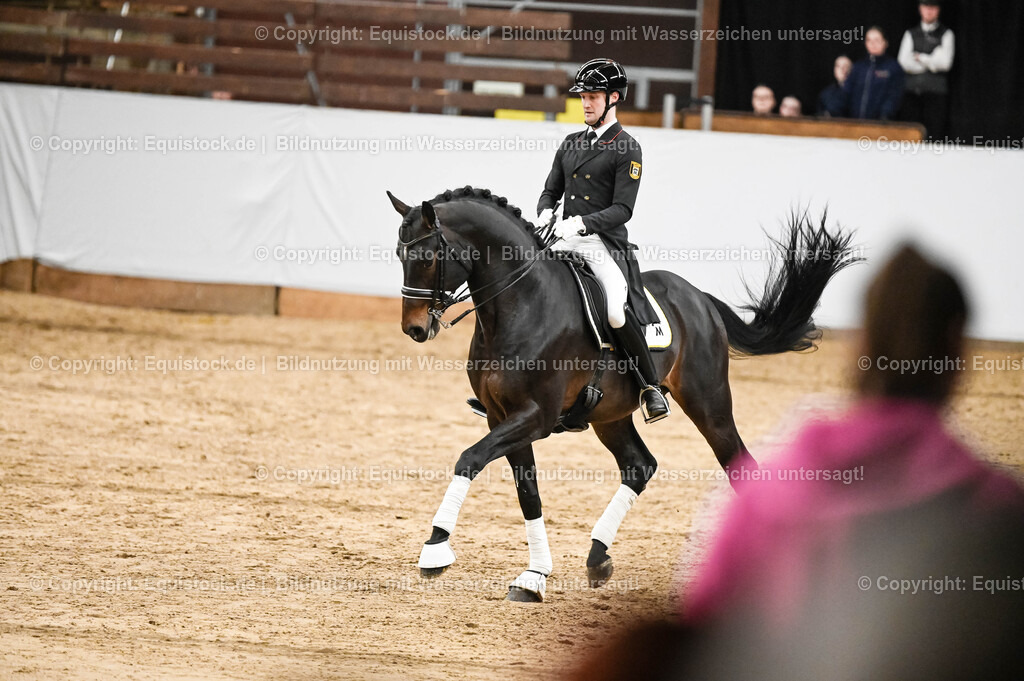 20260307_Hengstvorstellung-Marbach_0190 | equistock