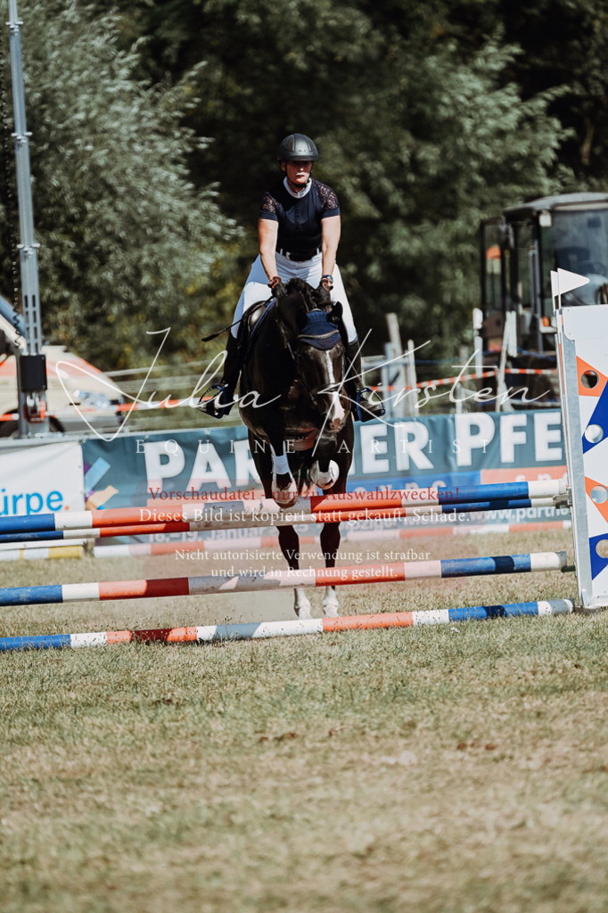 DSC_9866 | Pferde- und Turnierfotografie in Westsachsen. Pferdeportraits, Auftragszeichnungen und intuitive Kunst.