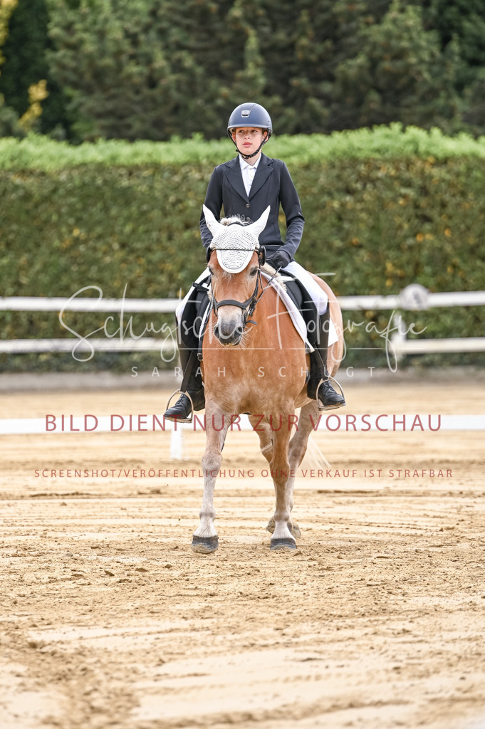 Schugtsche-Aluta25-42.EDressur -97 | Schugtsche Fotografie - Realizzato con Pictrs.com