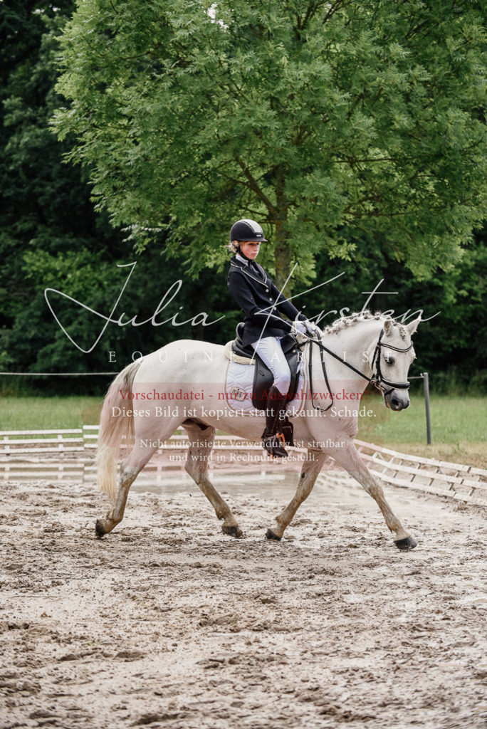DSC_9427 | Pferde- und Turnierfotografie in Westsachsen. Pferdeportraits, Auftragszeichnungen und intuitive Kunst.