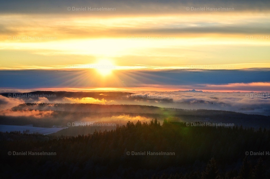 886C613E-6BF3-470E-A748-F236DD1B211B | Hier finden Sie Poster, Leinwandfotos sowie viele weitere Fotoprodukte mit Motiven aus dem Schwarzwald, aus Freiburg und dem Kaiserstuhl zum Download und zum Bestellen.  - Realisiert mit Pictrs.com