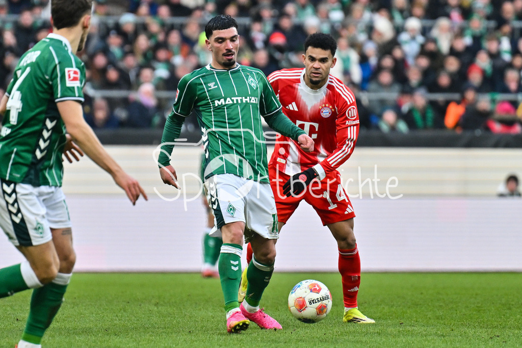 SV Werder Bremen - FC Bayern München | BREMEN, GERMANY - 14. FEBRUARY: im Duell Cameron PUERTAS CASTRO (SV Werder Bremen 18) und Luis DIAZ (FC Bayern Munich 14) während dem Bundesligamatch zwischen dem SV Werder Bremen und dem FC Bayern München am 22. Spieltag im Weserstadion / DFL REGULATIONS PROHIBIT ANY USE OF PHOTOGRAPHS AS IMAGE SEQUENCES AND/OR QUASI-VIDEO