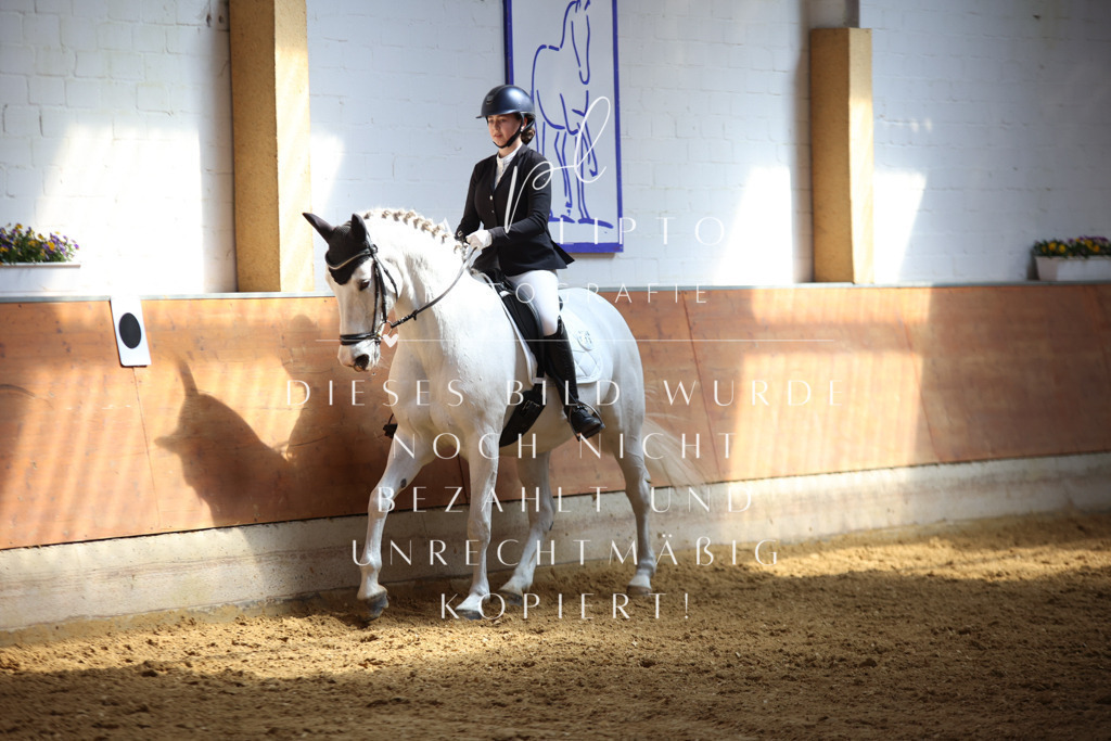 IMGT7775 | pl-fotografie