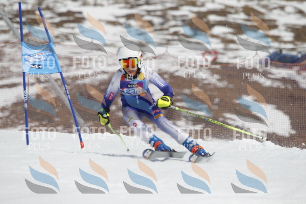 _U3G2608 | holidayphoto