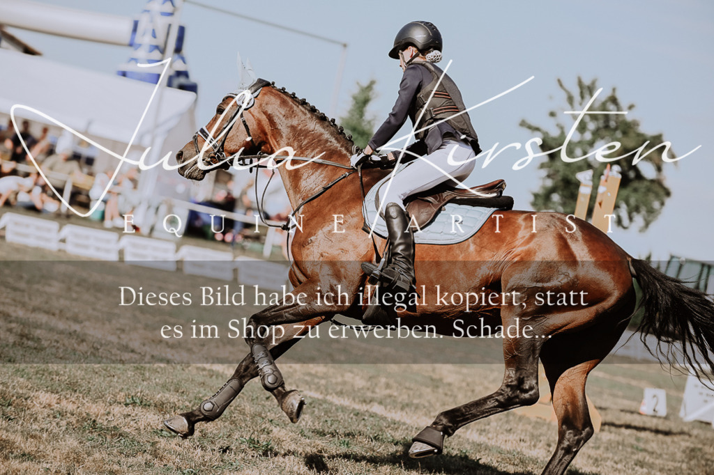 DSC_9422 | Pferde- und Turnierfotografie in Westsachsen. Pferdeportraits, Auftragszeichnungen und intuitive Kunst.