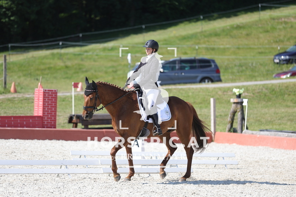 0P6A8085 | Willkommen bei Brunnmayr - Design & Fotografie – Ihrem Spezialisten für Reitturniere und Pferdeveranstaltungen in Oberösterreich, Salzburg und Bayern! Seit über 17 Jahren sind wir leidenschaftlich dabei.